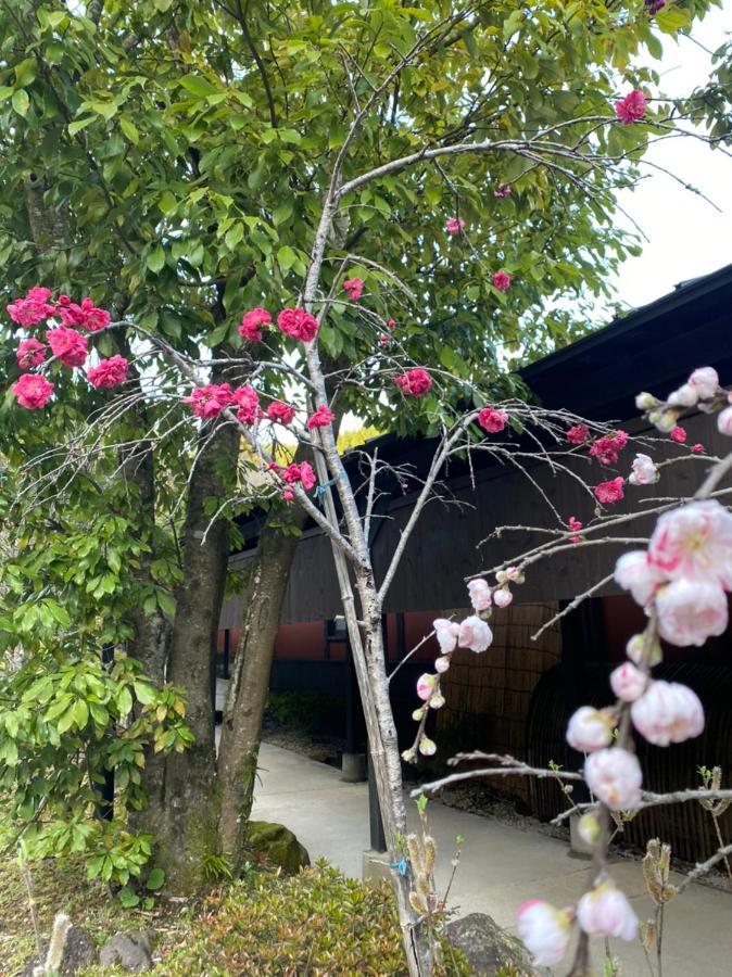 Hotel Yufuin Ryoan Wazanho Oita Esterno foto